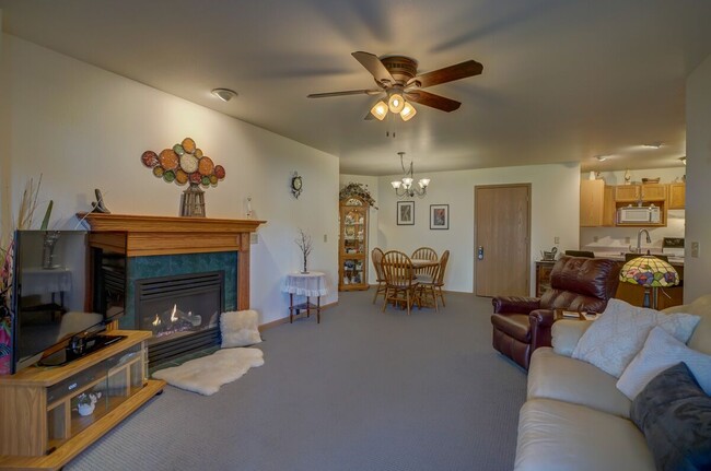 Gas Fireplace/Great Room - 325 Henry Dr