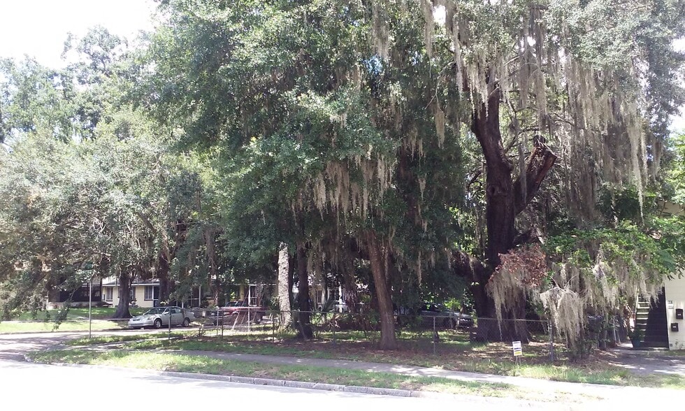 Comes with yars - 607 S Summerlin Ave