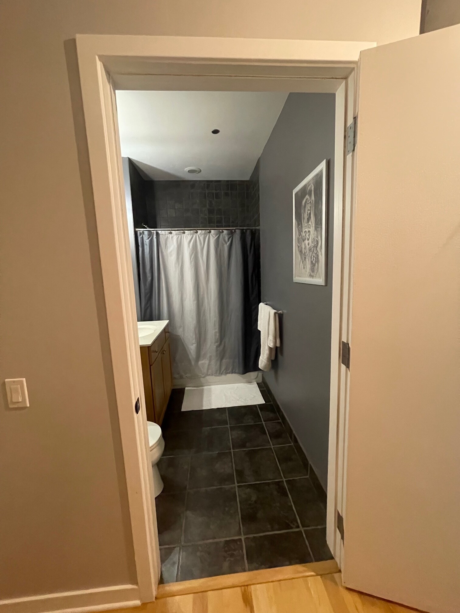 Front Bathroom - 720 N Larrabee St Unit 1707