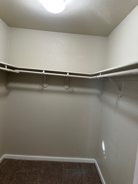 Building Photo - Modesto 5 Bedroom 3 Bathroom with a Pool