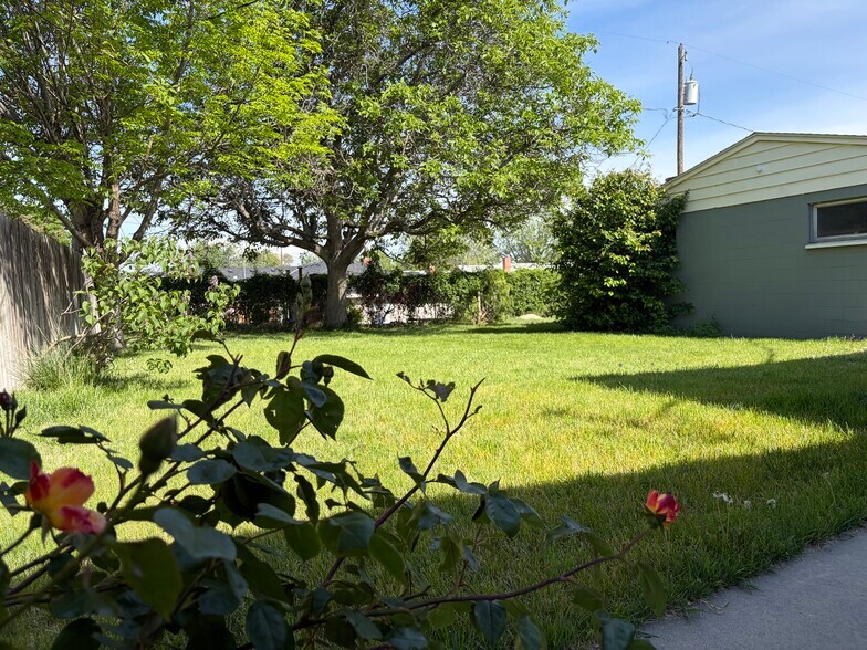 Back yard - 705 S Ione St