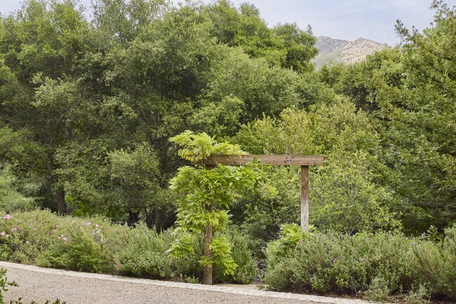Building Photo - 901 Crater Camp Dr