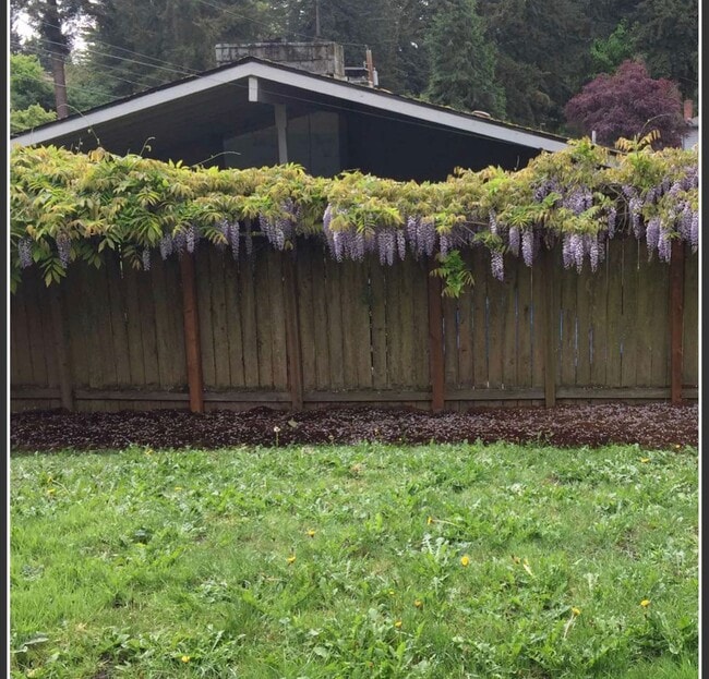 Building Photo - Mid Century 3 bedroom home in Bellevue