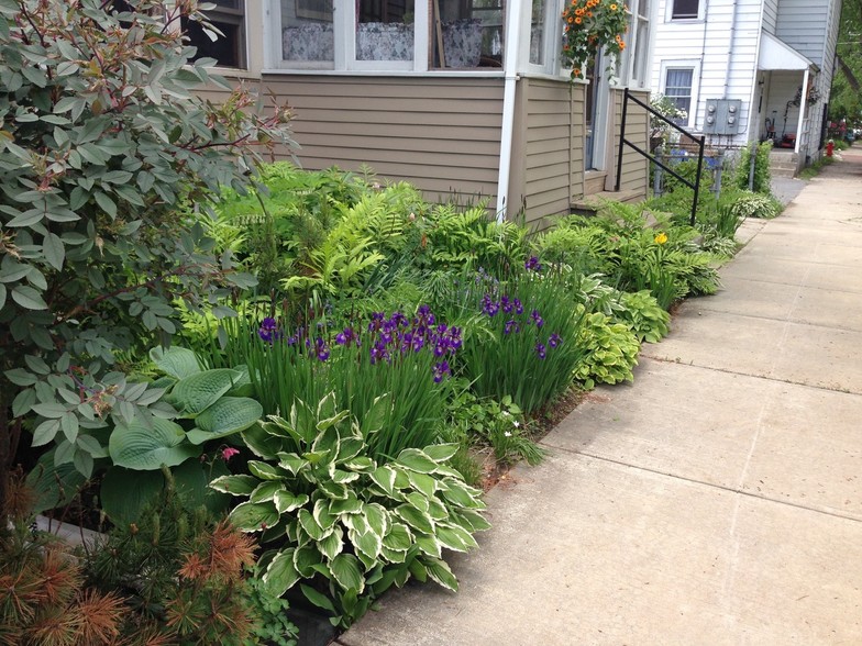 Welcoming Glassed in Porch & Garden - 69 Wright Ave