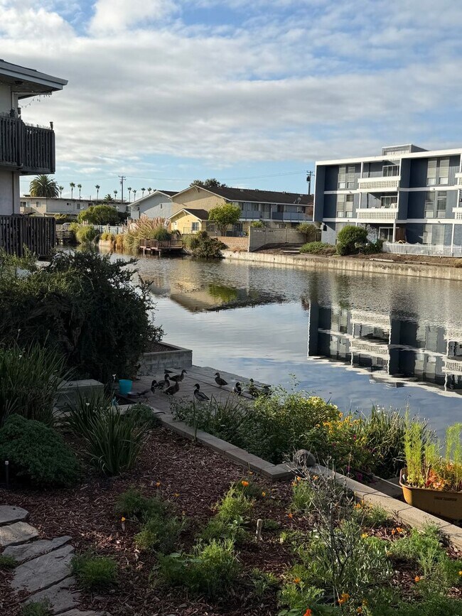 Building Photo - Spacious Apartments in the Desirable Bronze Coast Neighborhood