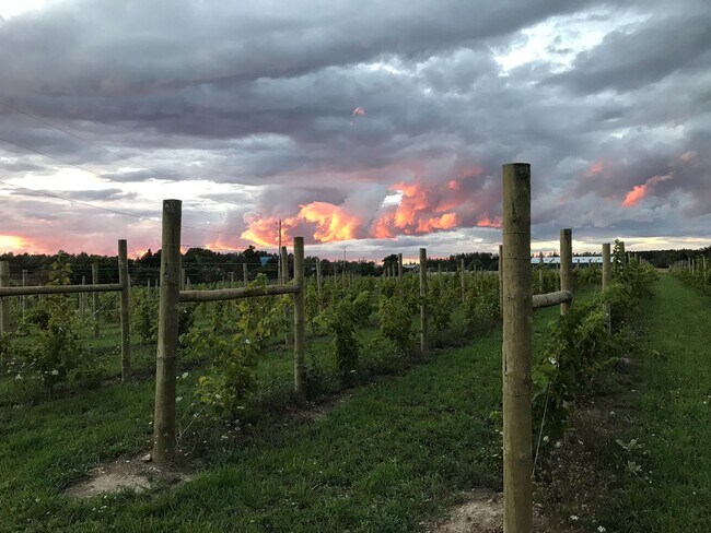 Building Photo - Blu Dot Farm 3