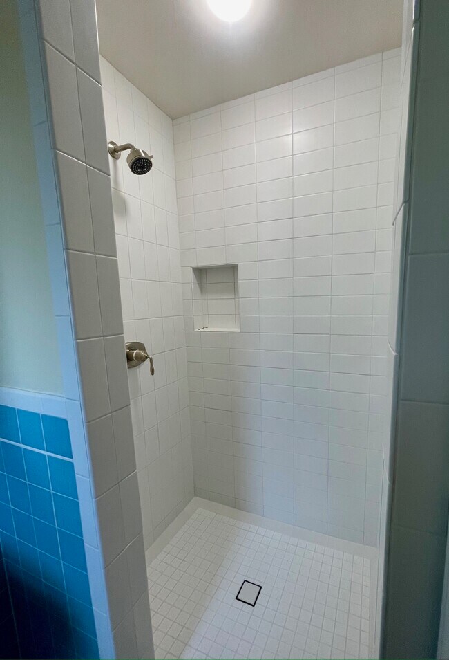 Walk in shower - 5940 La Salle Ave
