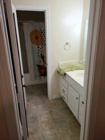 Mastebathroom Sample photo - 201 W Trinity St