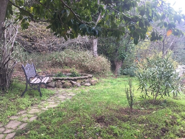 Building Photo - Classic Mill Valley 3 Bedroom Home