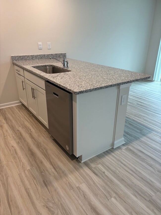 Building Photo - Brand New End-Unit Townhome in Charlotte!