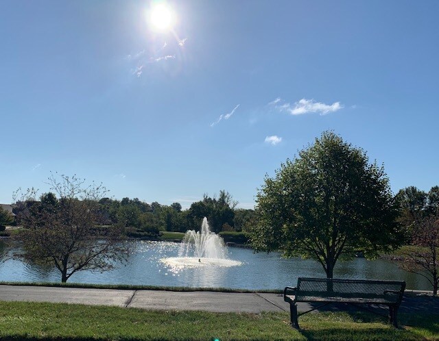 Pond with fountain and walking trail - 4423 Via Condotti
