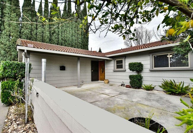 Building Photo - 498 Nut Tree Ct