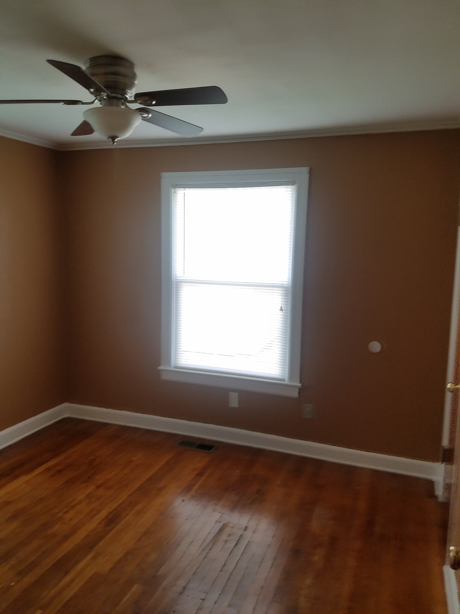 Building Photo - 1908 Nelle St