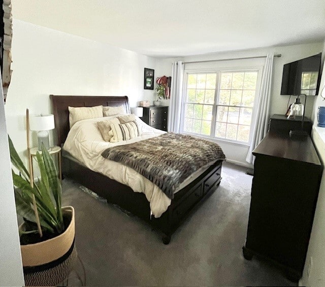Bedroom - 164 Milkweed Ct