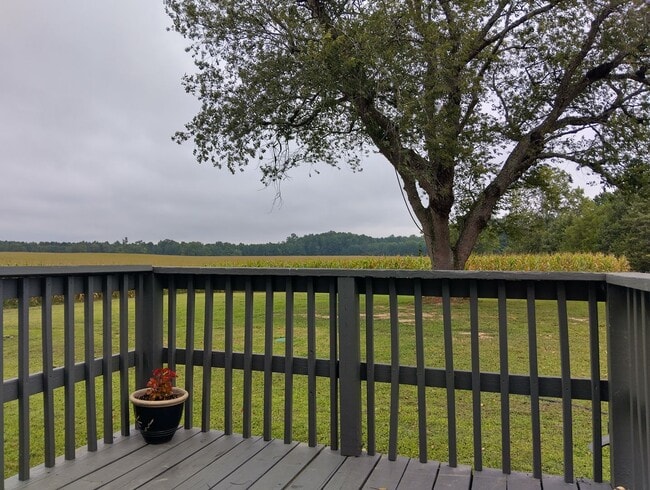 Primary Photo - Adorable farmhouse ready for new long term...