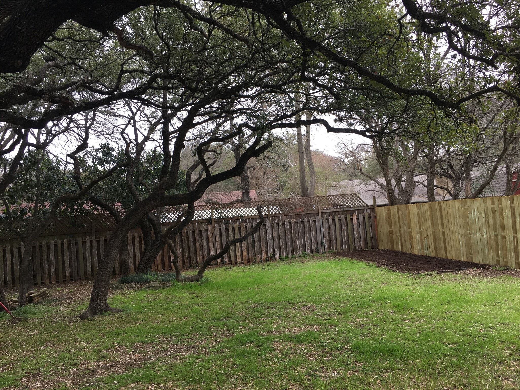 Did I mention this property sits on 1/4 acre? Can't get the whole backyard in 1 picture...Look for others - 2400 Dijon Dr