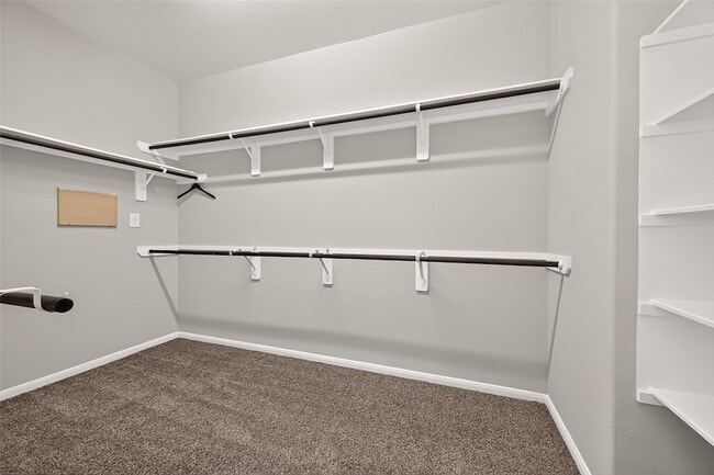 Building Photo - 14122 Sunrise Arbor Ln