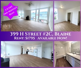 Building Photo - Spacious and Updated 1 Bedroom - H street 2C
