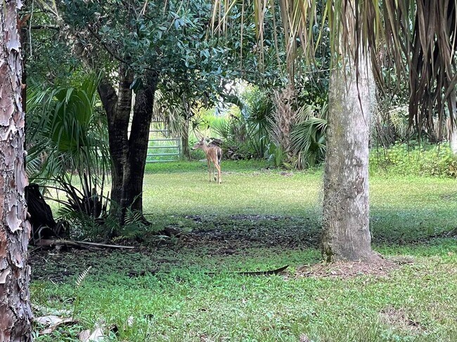 Building Photo - 4502 Wild Turkey Trail