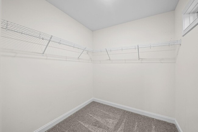 Building Photo - 1173 Meadowhill Ln