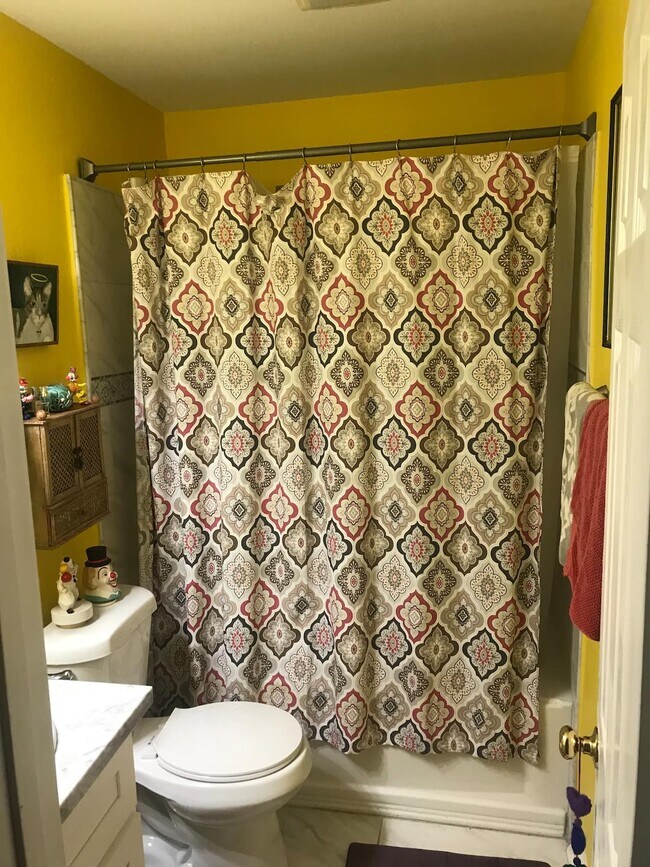 hallway bathroom - 1773 Rousselin Dr