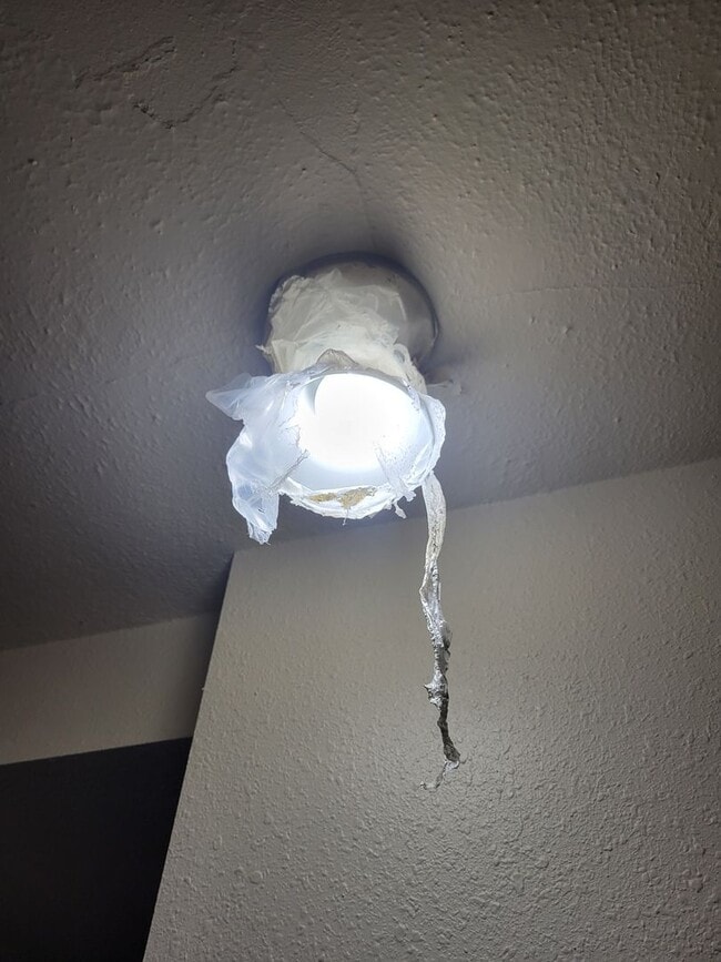 Building Photo - 2216 Merner Ave