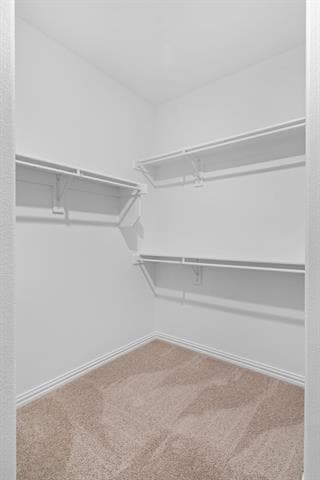 Building Photo - 2100 Briar Rose Dr