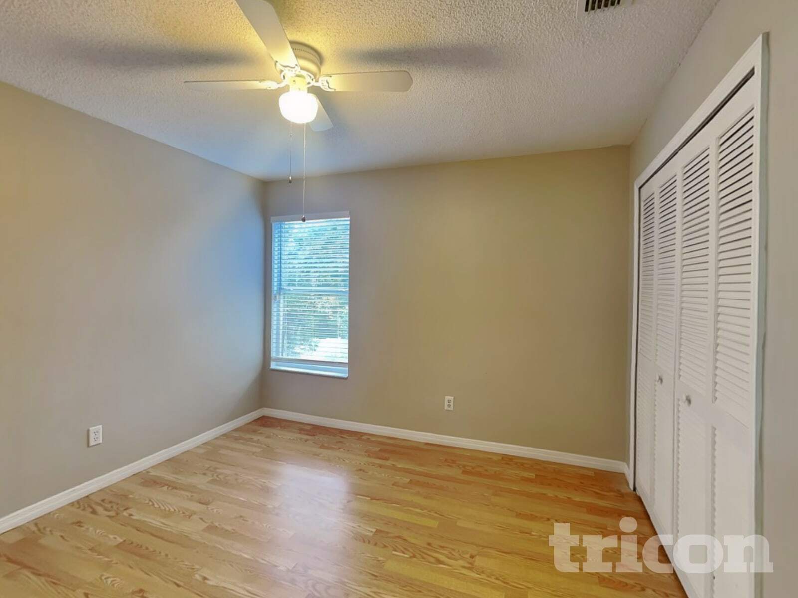 Building Photo - 528 Nevada Loop Rd