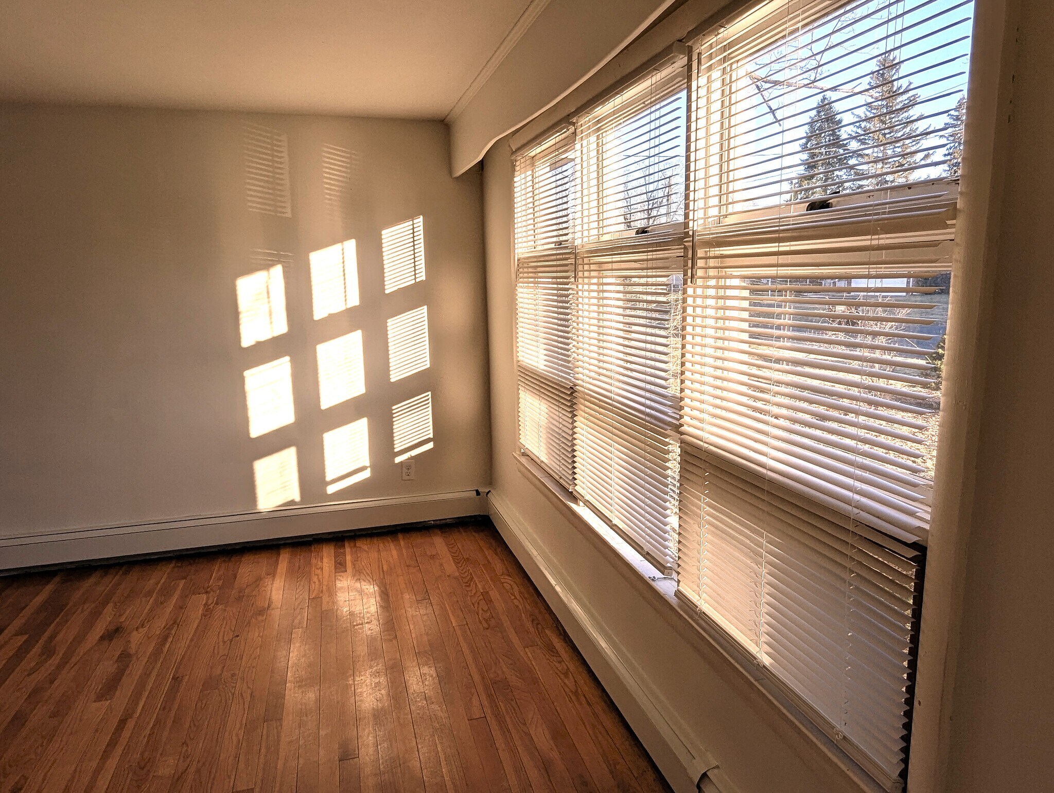 Living Rm - 44 Barrington Rd