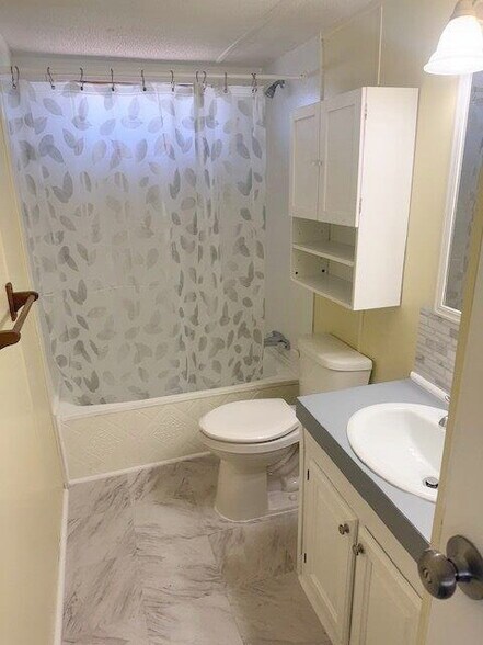 Hallway Bathroom - 847 Oakwood Dr