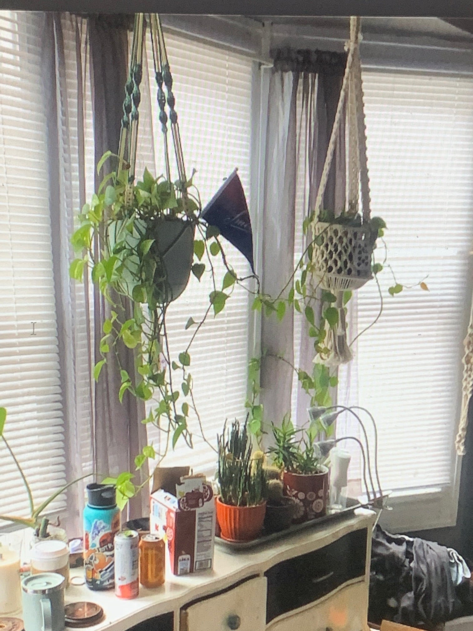 Building Photo - 2965 N Maryland Ave