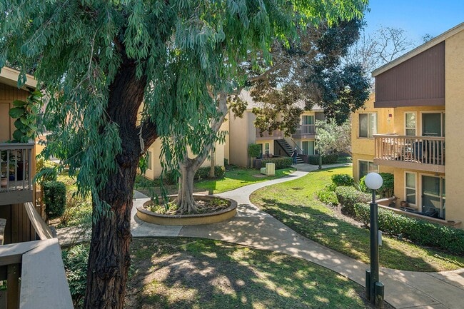 Building Photo - Mission Valley 1 BR/1 BA Condominium at Ra...
