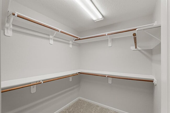 Building Photo - 13026 Davenport Hills Ln