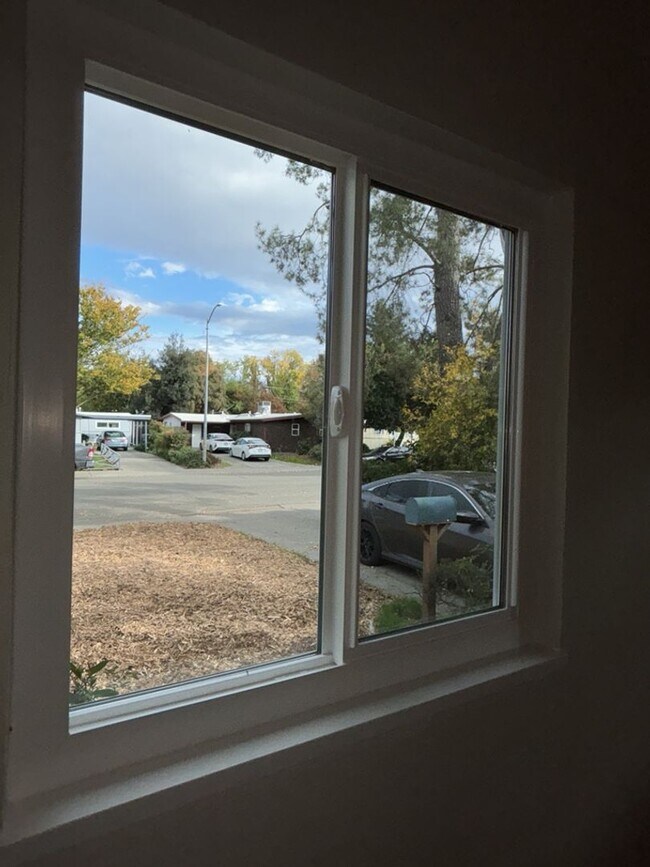 Building Photo - 3/1 in East Davis, New windows, new floors, new paint!
