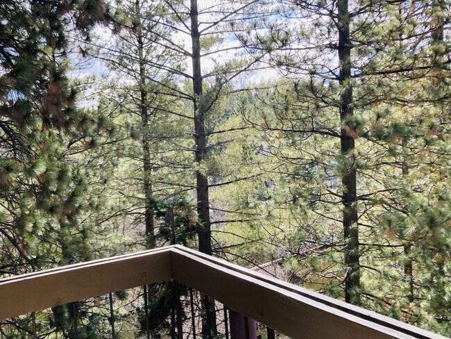 Building Photo - Enchanting Four Bedroom Two and Half Bath Condo in North Meadow Bay.