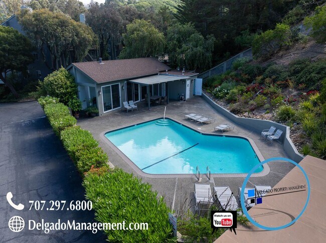 Building Photo - Sausalito living in this 2bd/2ba hillside ...