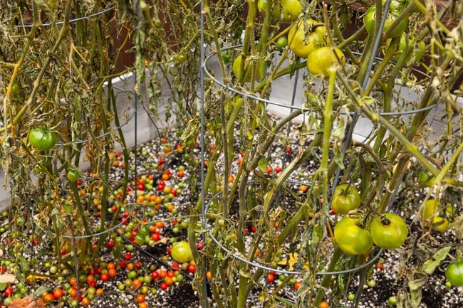 Building Photo - Remodeled & Charming 4 bed/3 bath w/ Yard ...