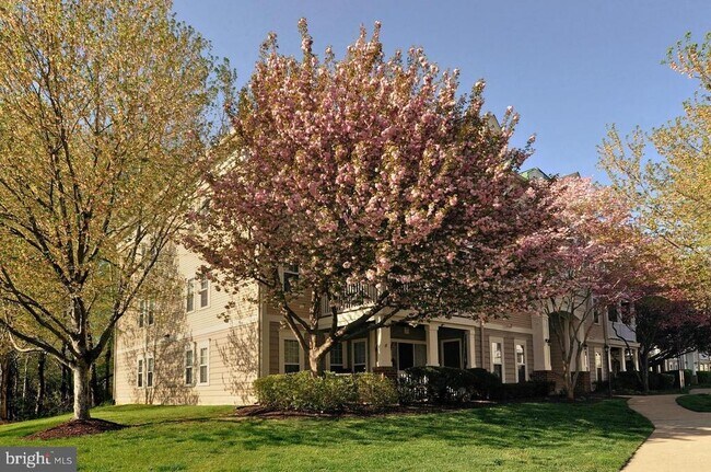 Primary Photo - 13103 Millhaven Pl