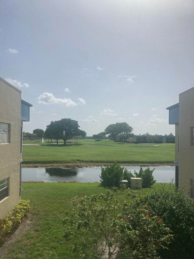 Primary Photo - 224 Burgundy E