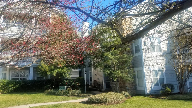 Building Photo - 13058 Autumn Woods Way