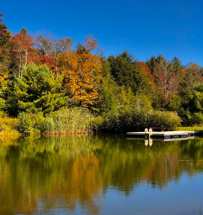 Building Photo - 66 Access Rd