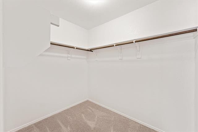 Building Photo - 4011 Springfield Ln