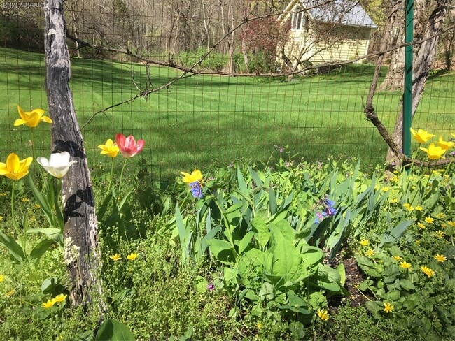 Building Photo - 43 McManus Terrace