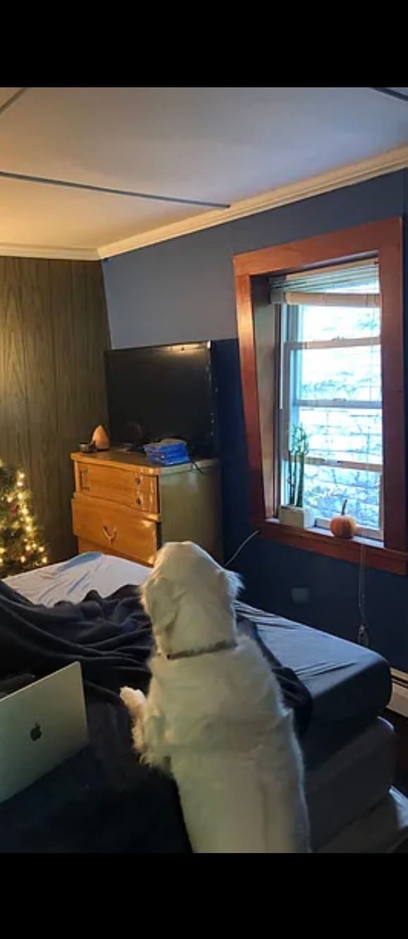 Primary Photo - 9 Lincoln St