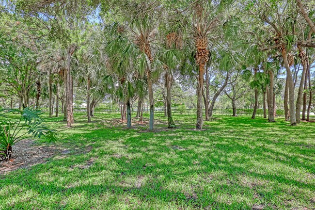 Building Photo - 1301 Sun Terrace Ct