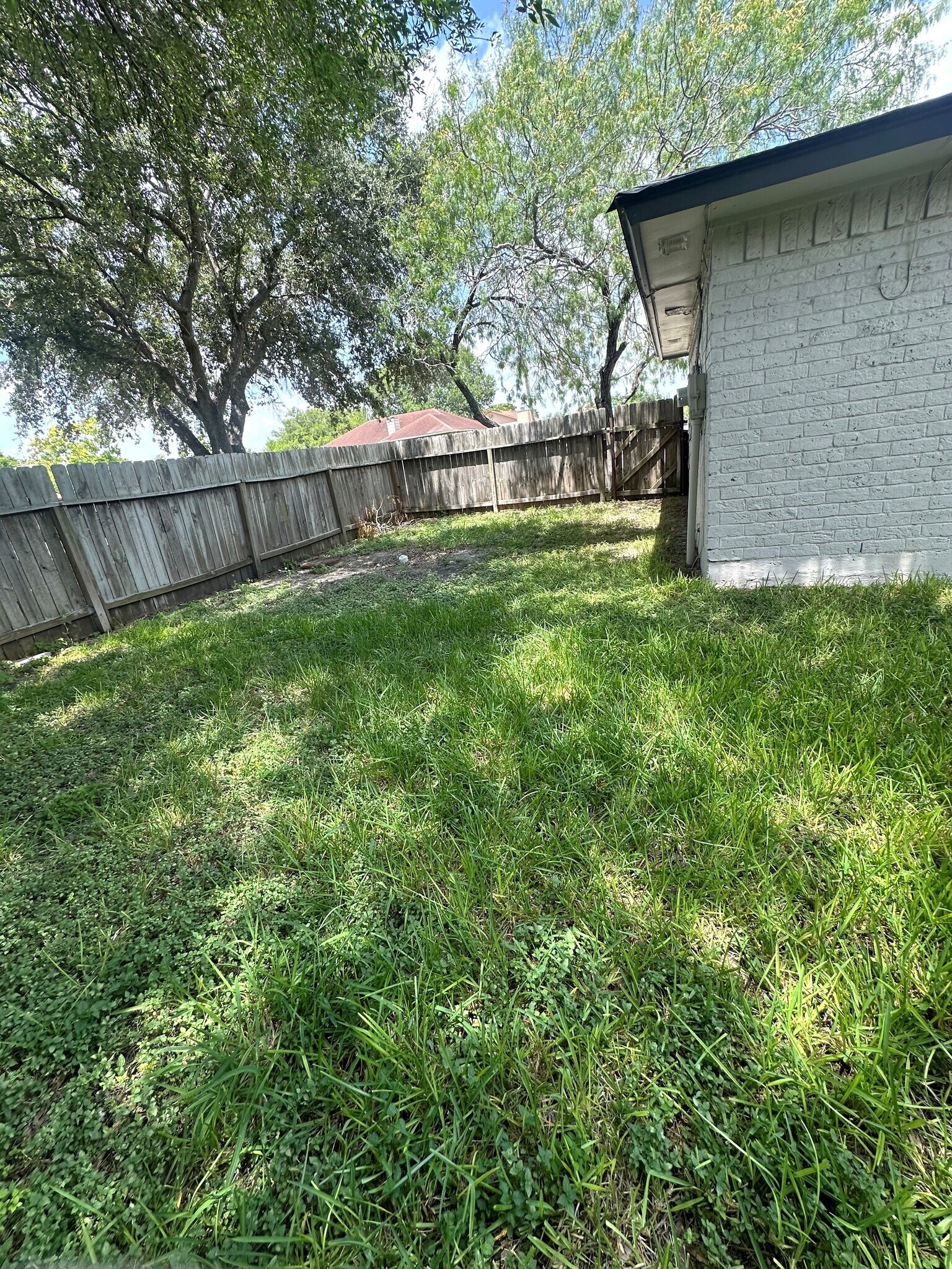 Backyard - 5401 Crossgate Dr S