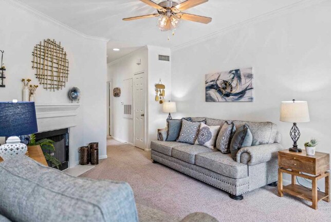 Building Photo - Open, Light, Inviting