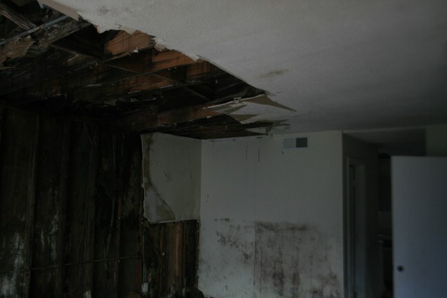 Interior Photo - Hammond Place Town Homes