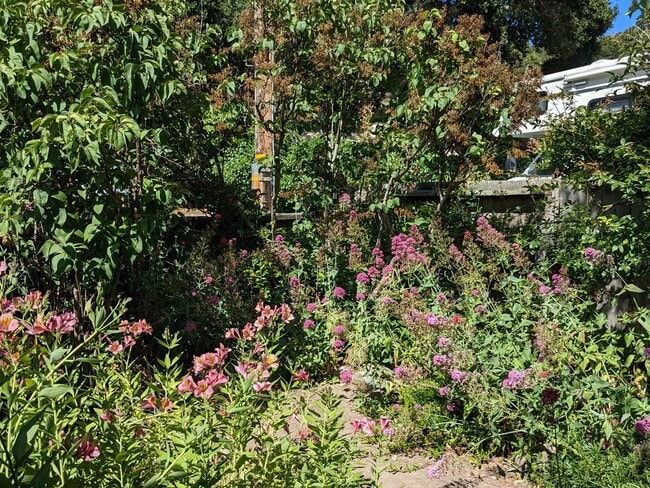 Building Photo - Cozy Carmel Valley Village House Fully Furnished