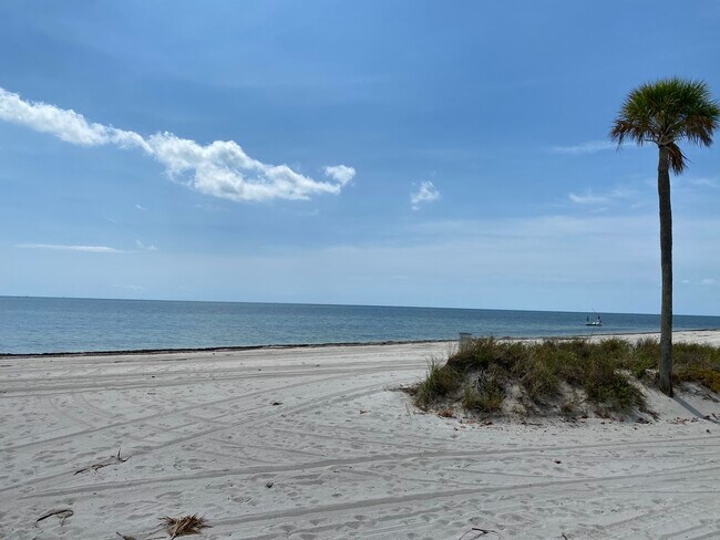 Building Photo - 290 Sunrise Dr